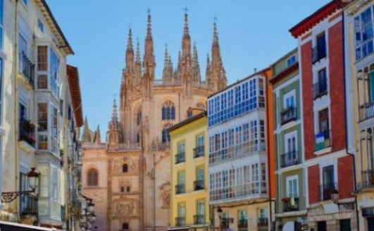 tasador Burgos